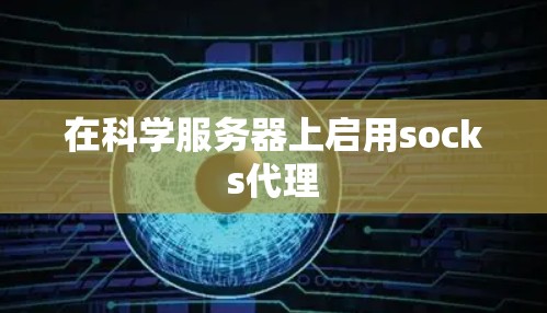 在科学服务器上启用socks代理