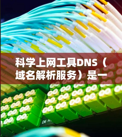 科学上网工具DNS（域名解析服务）是一个高级网络技术，帮助用户访问互联网服务。以下是关于DNS的详细说明