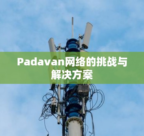 Padavan网络的挑战与解决方案