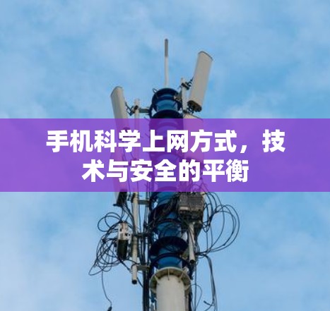 手机科学上网方式，技术与安全的平衡