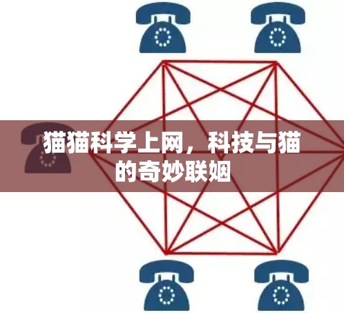 猫猫科学上网，科技与猫的奇妙联姻