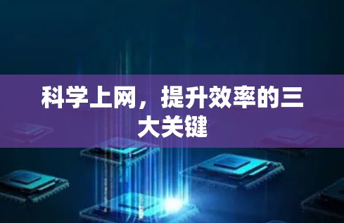 科学上网，提升效率的三大关键
