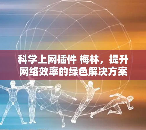科学上网插件 梅林，提升网络效率的绿色解决方案