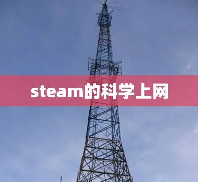 steam的科学上网