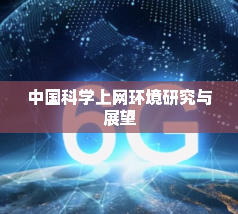 中国科学上网环境研究与展望