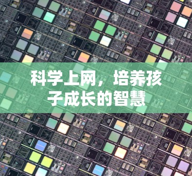 科学上网，培养孩子成长的智慧