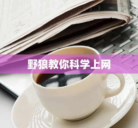 野狼教你科学上网