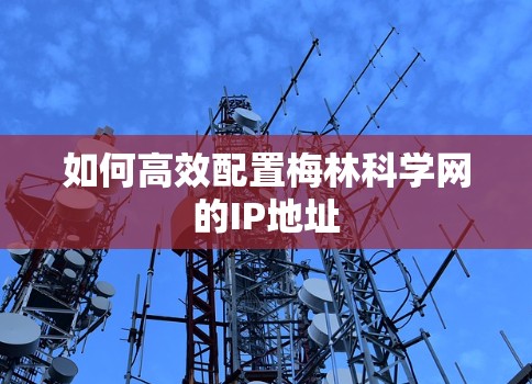 如何高效配置梅林科学网的IP地址
