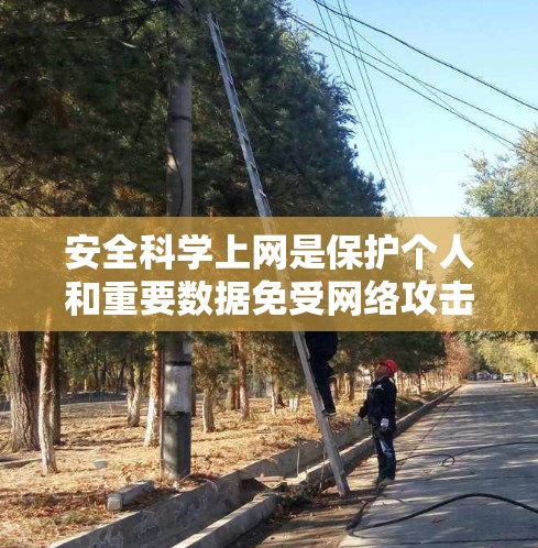 安全科学上网是保护个人和重要数据免受网络攻击的关键步骤。以下是一些科学且实用的步骤，帮助您更好地保护自己