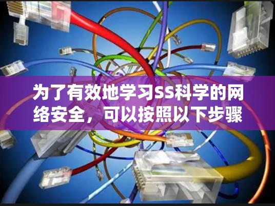 为了有效地学习SS科学的网络安全，可以按照以下步骤进行系统学习和实践
