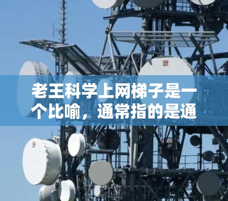 老王科学上网梯子是一个比喻，通常指的是通过多设备联机或使用科学的上网解决方案来解决网络问题。如果你遇到了网络问题，比如网速慢、文件上传困难等，可以考虑以下步骤