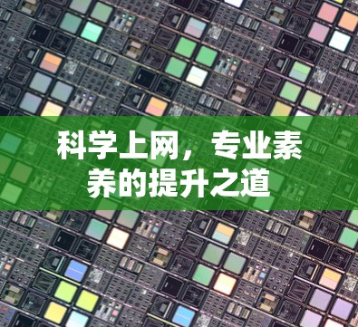 科学上网，专业素养的提升之道
