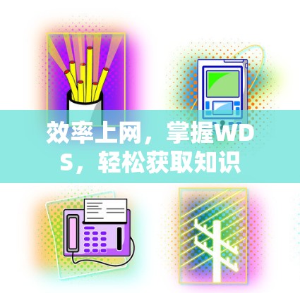 效率上网，掌握WDS，轻松获取知识
