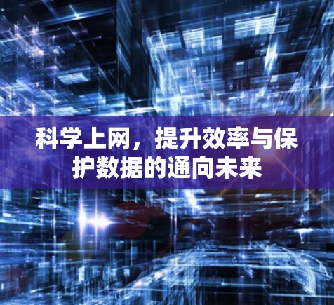 科学上网，提升效率与保护数据的通向未来