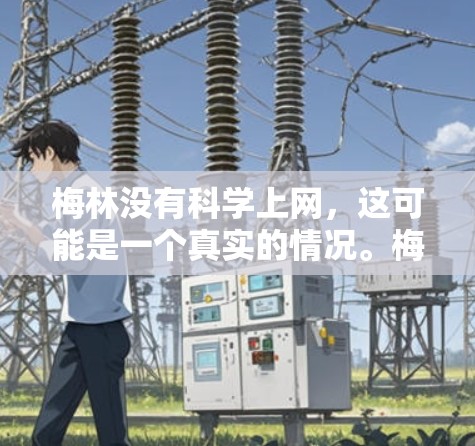 梅林没有科学上网，这可能是一个真实的情况。梅林位于法国北部，靠近法国的南部，地理位置在法国南端。根据互联网普及的数据，大多数法国城市都有互联网接入，但具体情况因地区而异