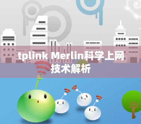 tplink Merlin科学上网技术解析