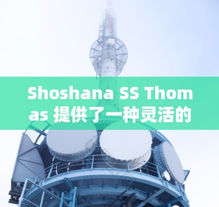 Shoshana SS Thomas 提供了一种灵活的科学上网服务，旨在为用户提供高效、便捷的在线资源。以下是该服务的详细信息