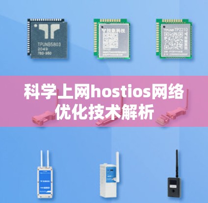 科学上网hostios网络优化技术解析