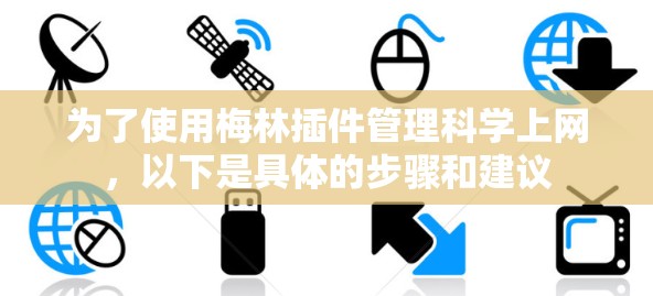为了使用梅林插件管理科学上网，以下是具体的步骤和建议