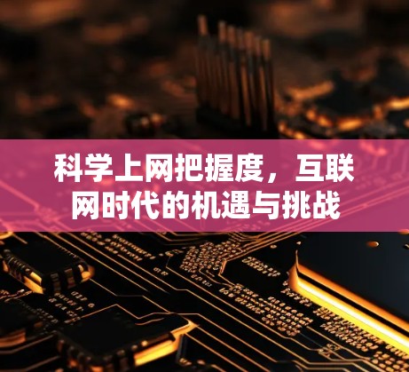 科学上网把握度，互联网时代的机遇与挑战