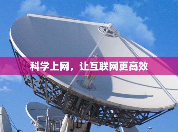 科学上网，让互联网更高效