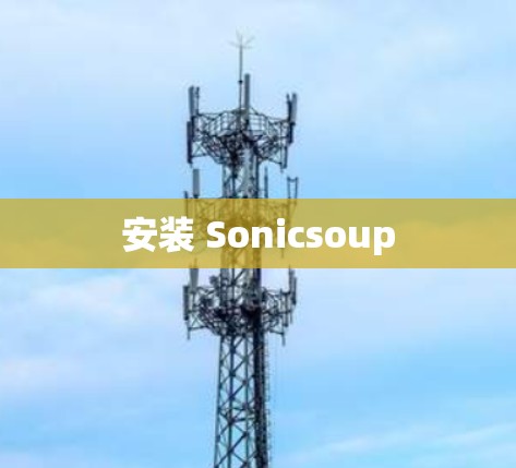 安装 Sonicsoup