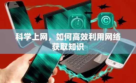 科学上网，如何高效利用网络获取知识