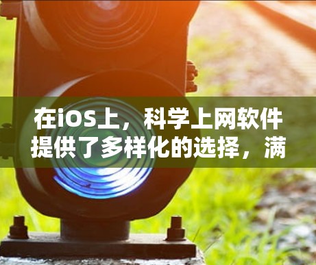 在iOS上，科学上网软件提供了多样化的选择，满足不同用户的需求。以下是对这些软件的总结和分析