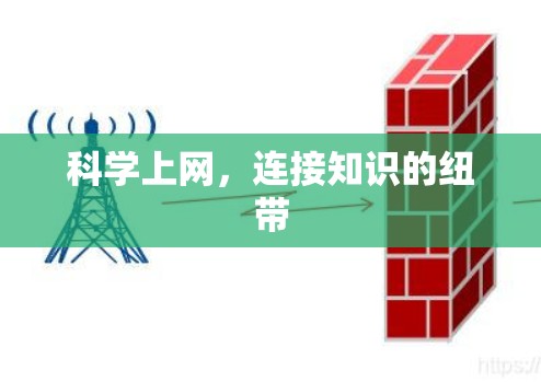 科学上网，连接知识的纽带