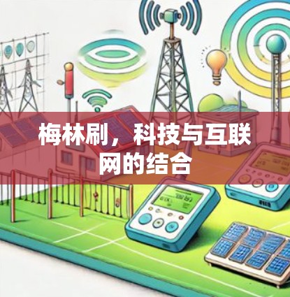 梅林刷，科技与互联网的结合