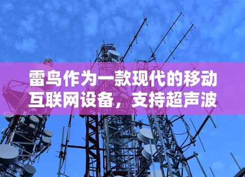 雷鸟作为一款现代的移动互联网设备，支持超声波通信技术，使其在科学上网方面具有显著优势。以下是对雷鸟科学上网的全面解析
