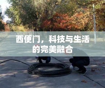 西便门，科技与生活的完美融合