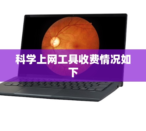 科学上网工具收费情况如下
