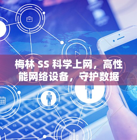 梅林 SS 科学上网，高性能网络设备，守护数据安全与隐私