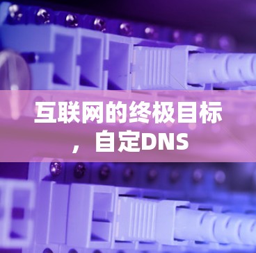 互联网的终极目标，自定DNS