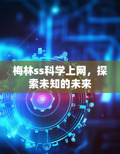 梅林ss科学上网，探索未知的未来