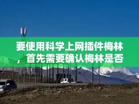 要使用科学上网插件梅林，首先需要确认梅林是否是一个独立网站或是否有其他版本。通常，科学计算插件如梅林可能在多个平台（如Windows、Mac、Linux）上有版本，每个版本可能支持不同的功能和依赖性