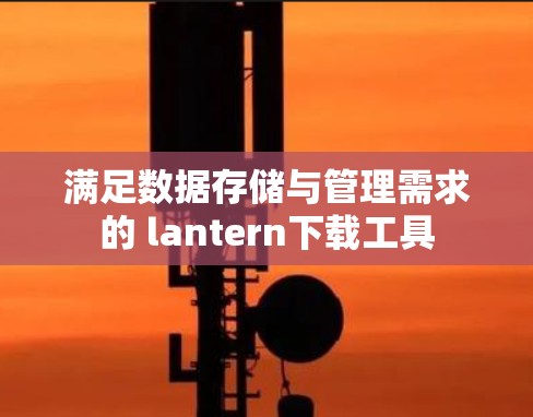 满足数据存储与管理需求的 lantern下载工具