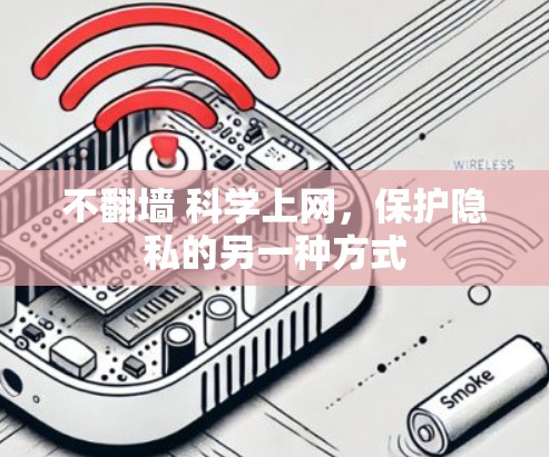 不翻墙 科学上网，保护隐私的另一种方式