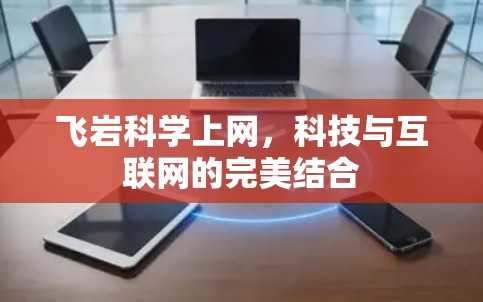 飞岩科学上网，科技与互联网的完美结合