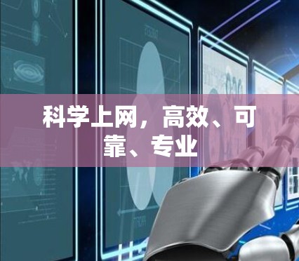 科学上网，高效、可靠、专业