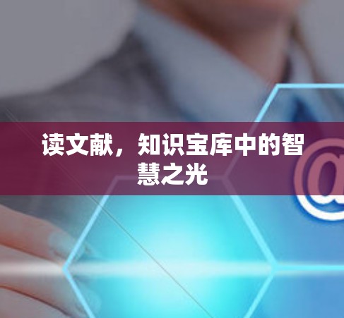 读文献，知识宝库中的智慧之光